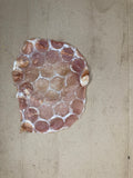 Beef Frisbee