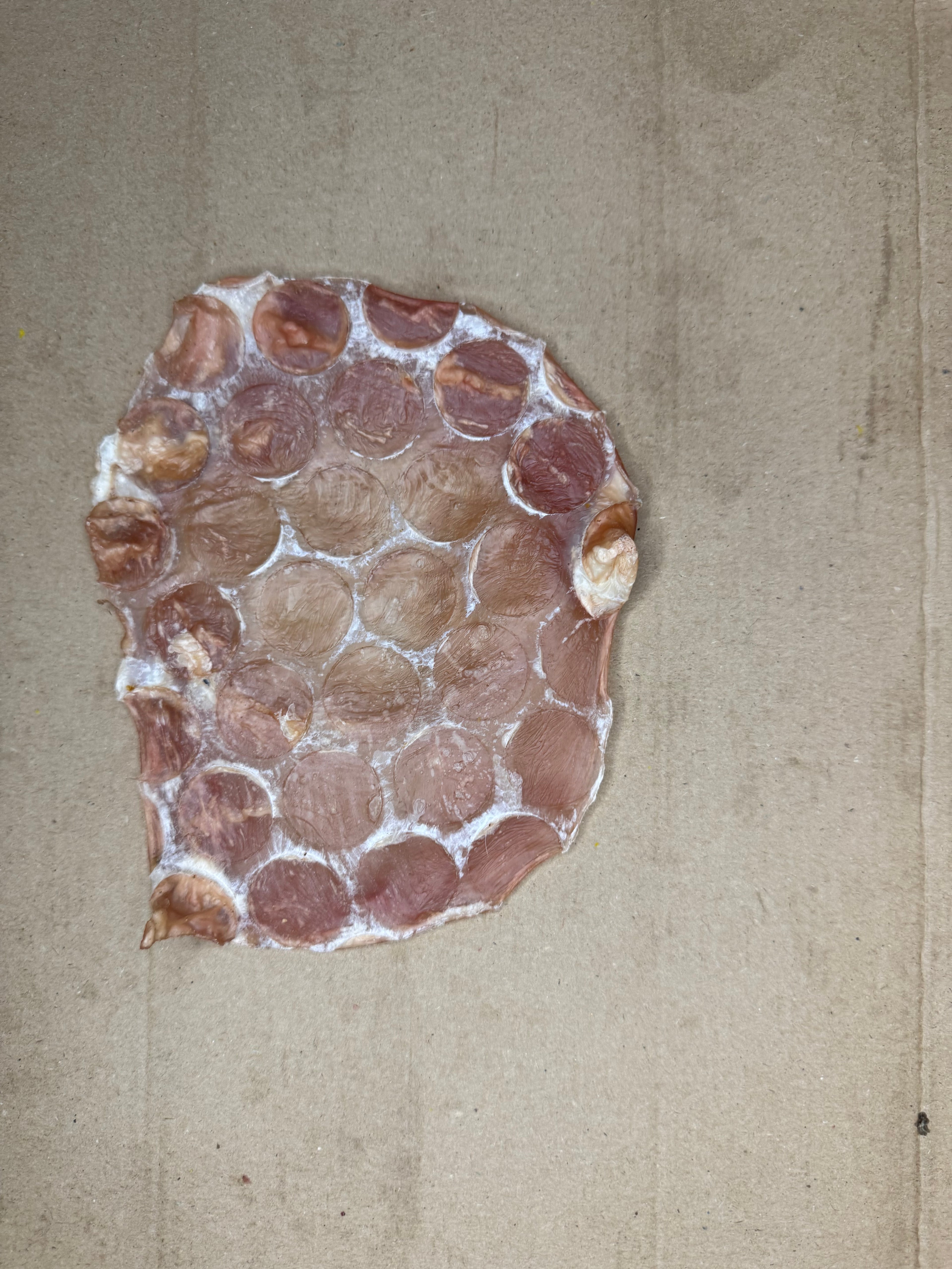 Beef Frisbee