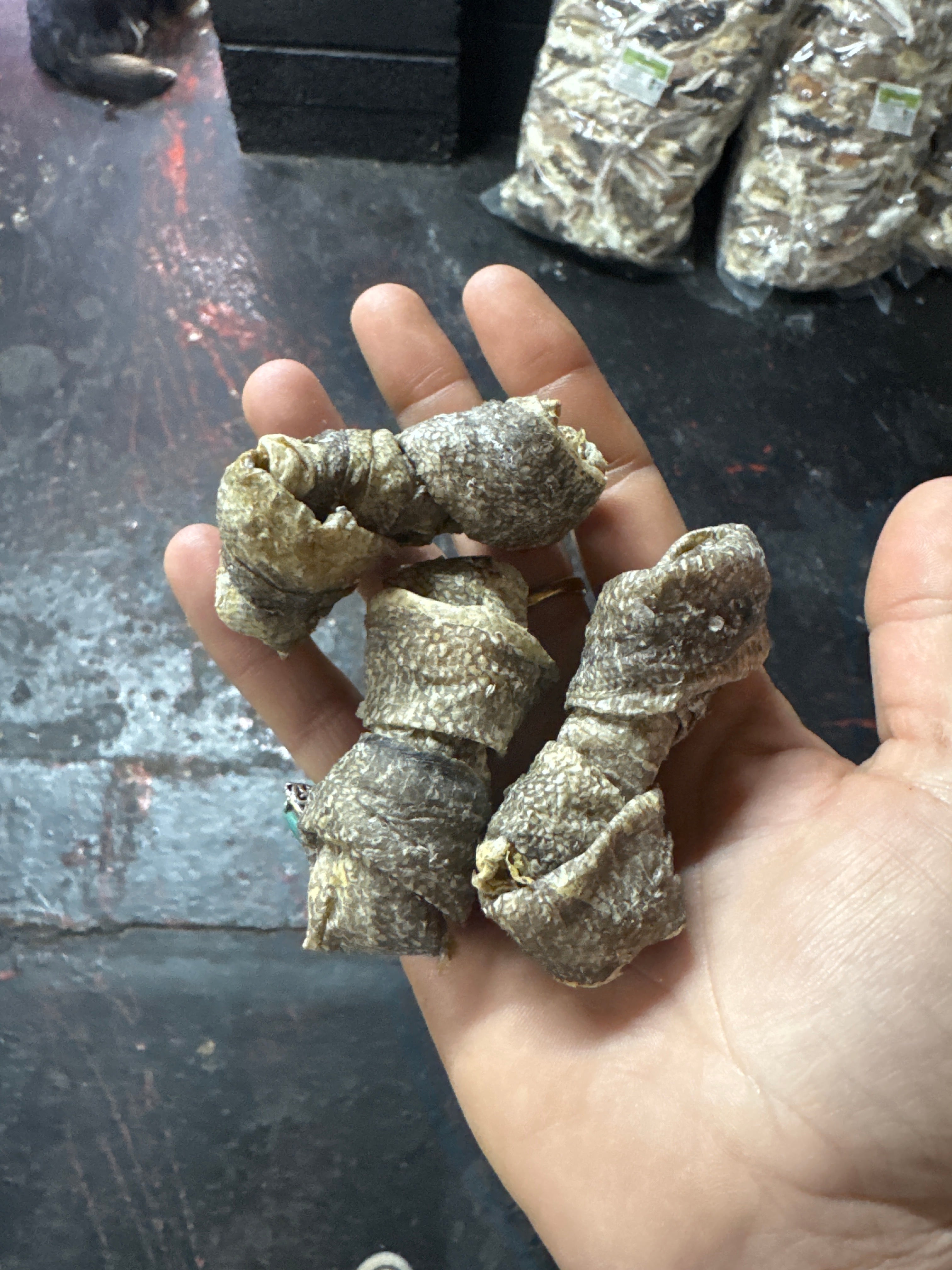 Small Fish Skin Knot