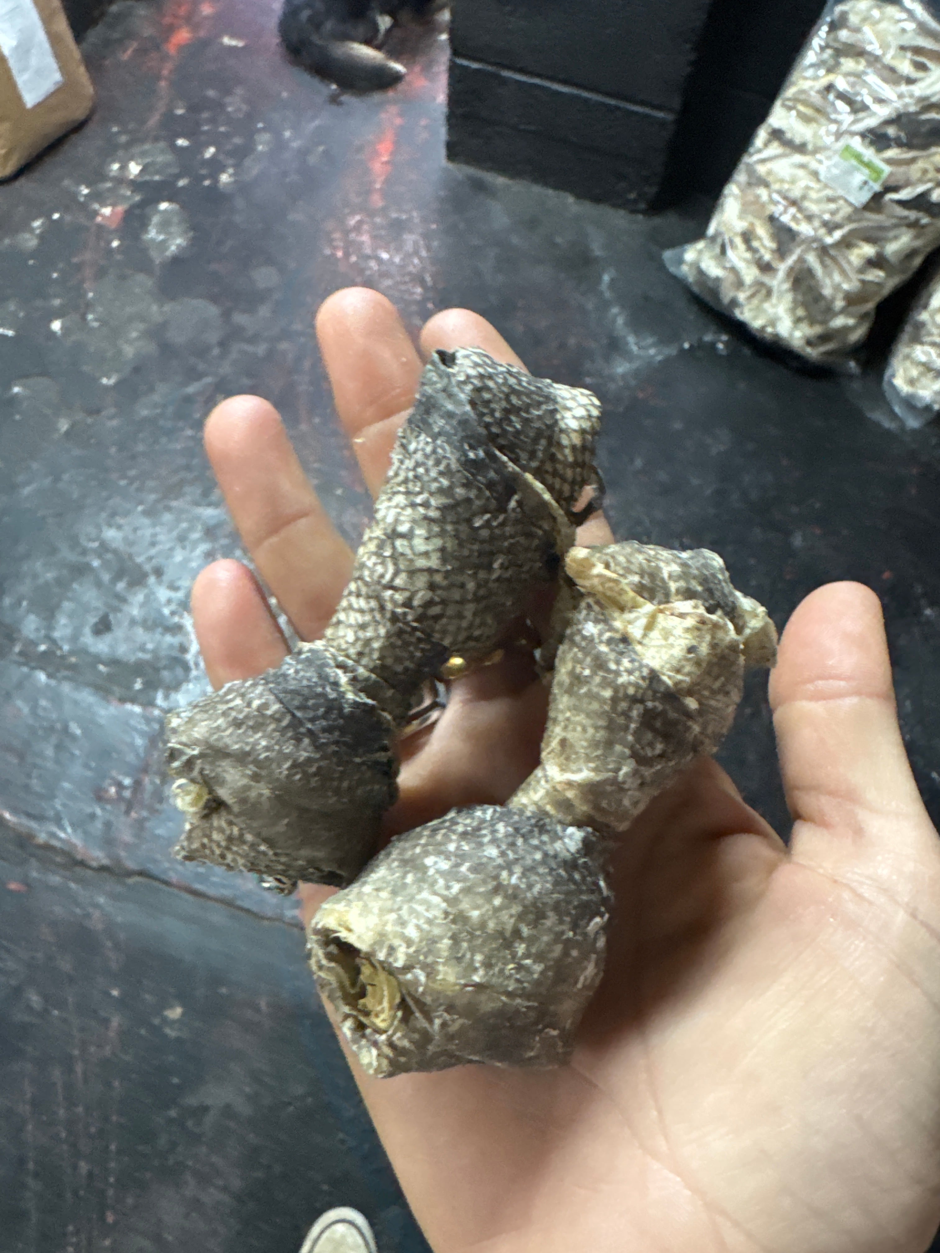 Fish Large Knot