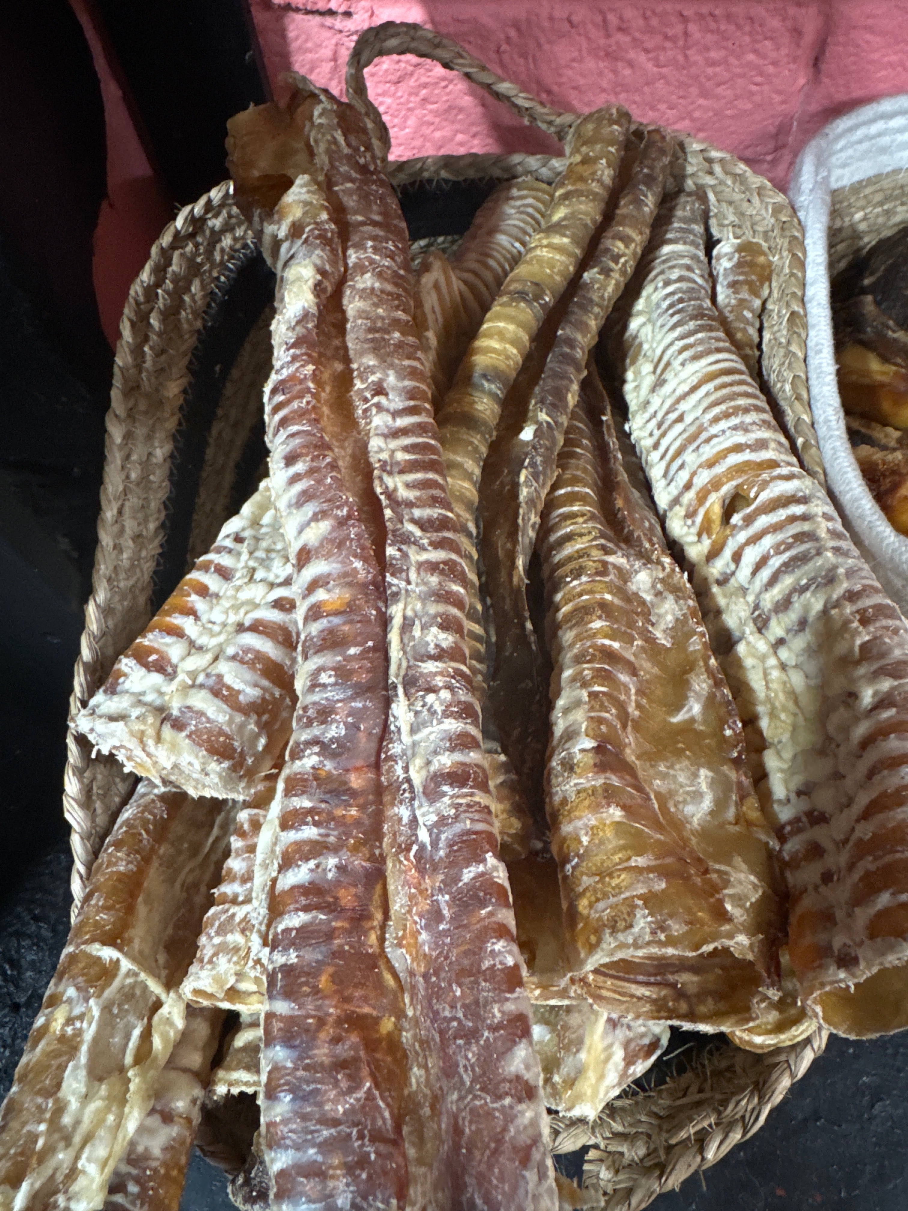 Large Trachea