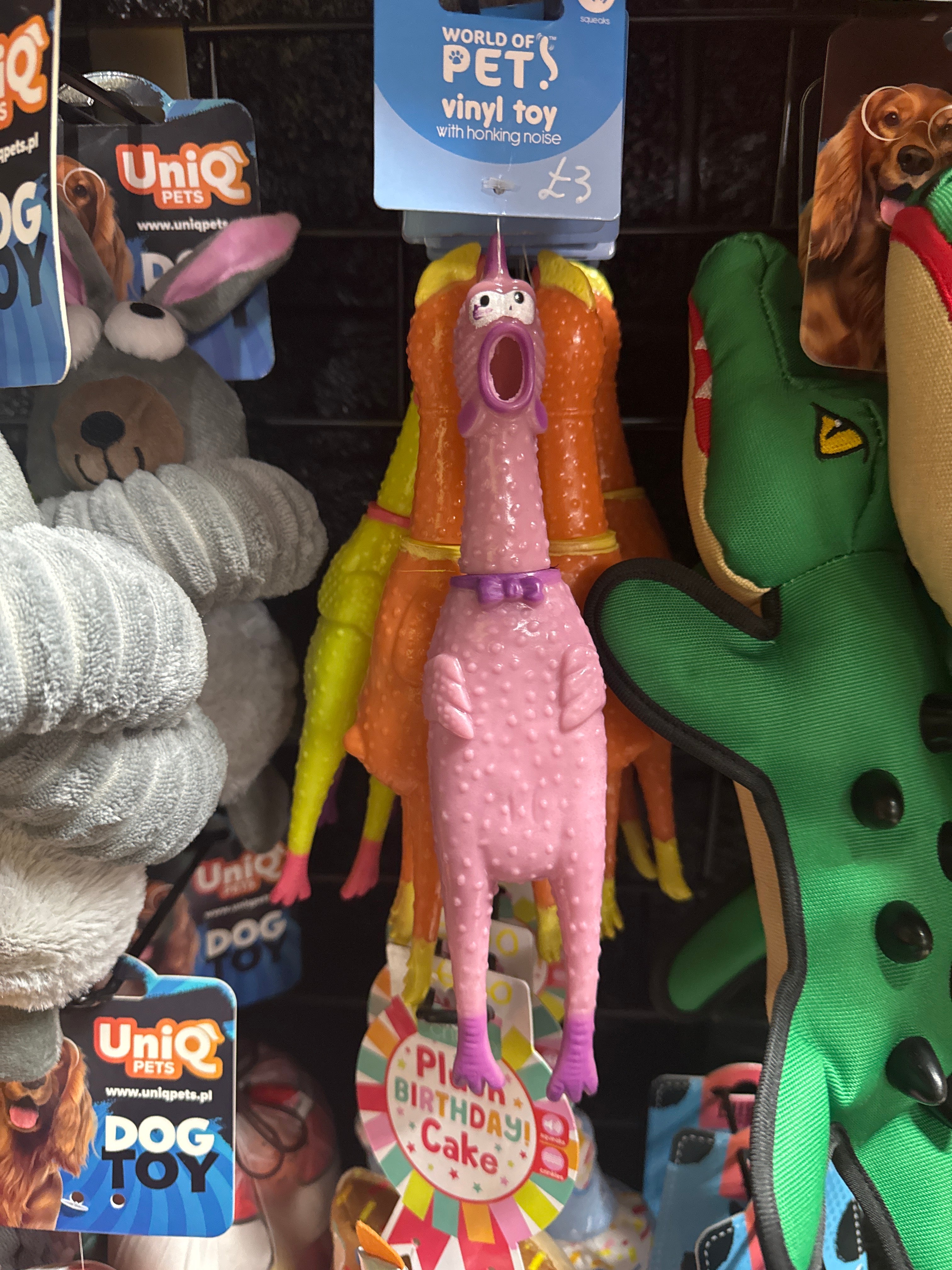 Plastic Chicken