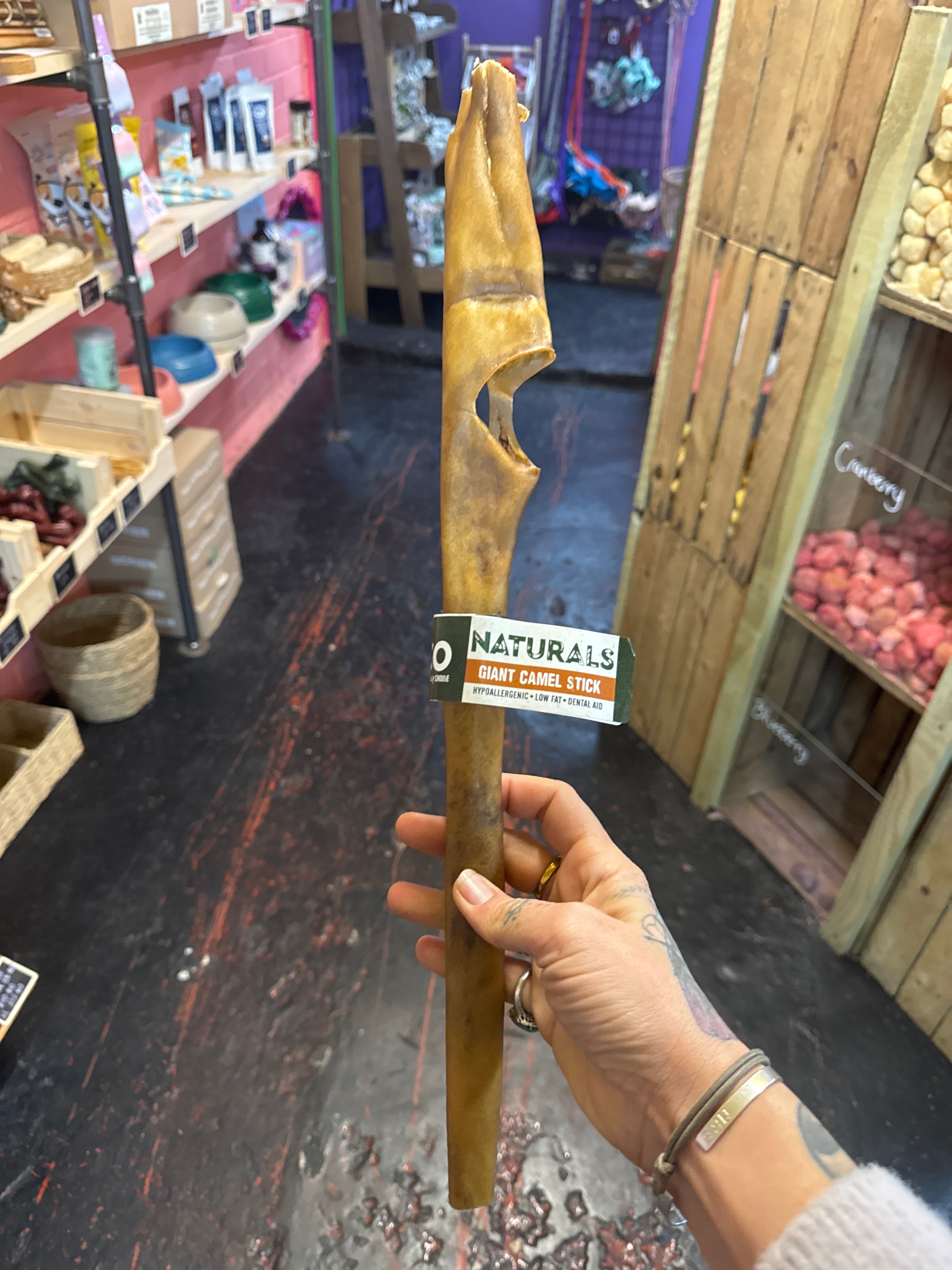 Giant Camel Stick