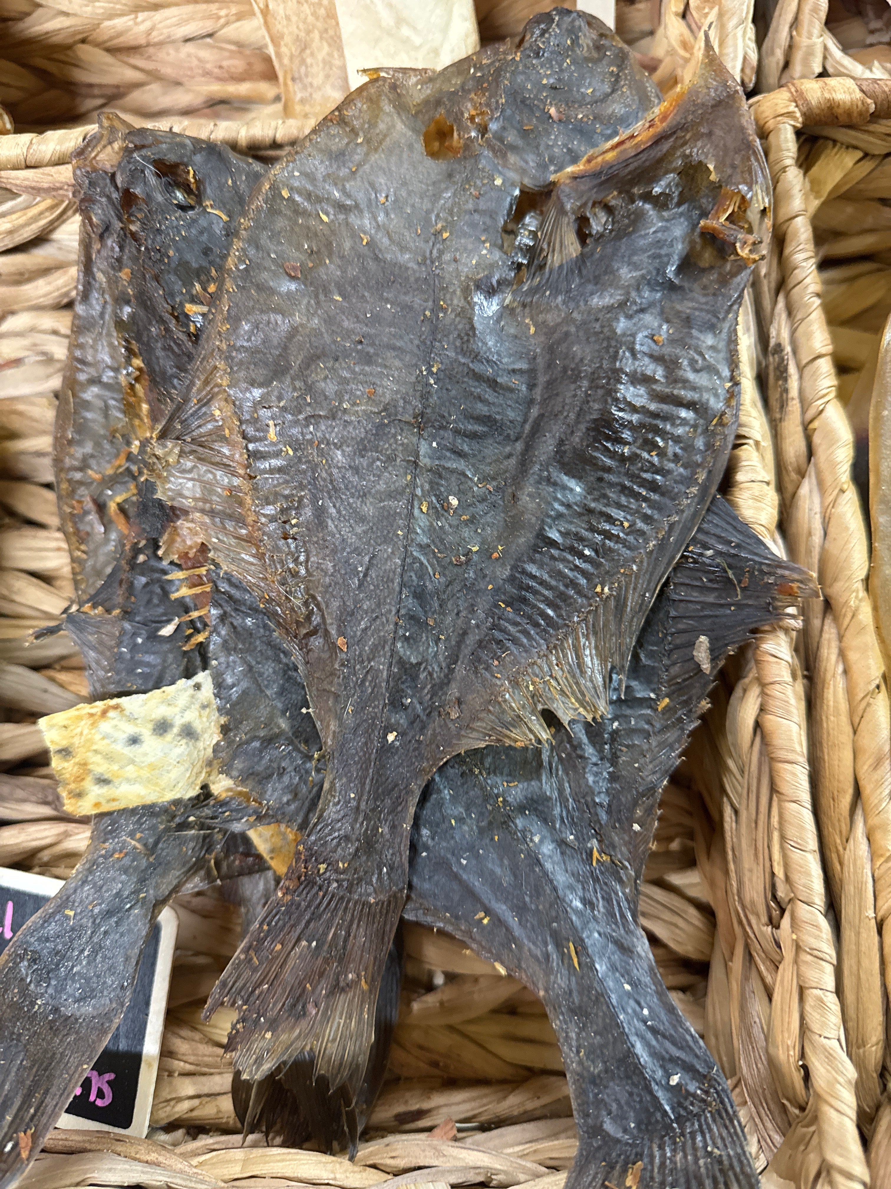 Flounder Fish