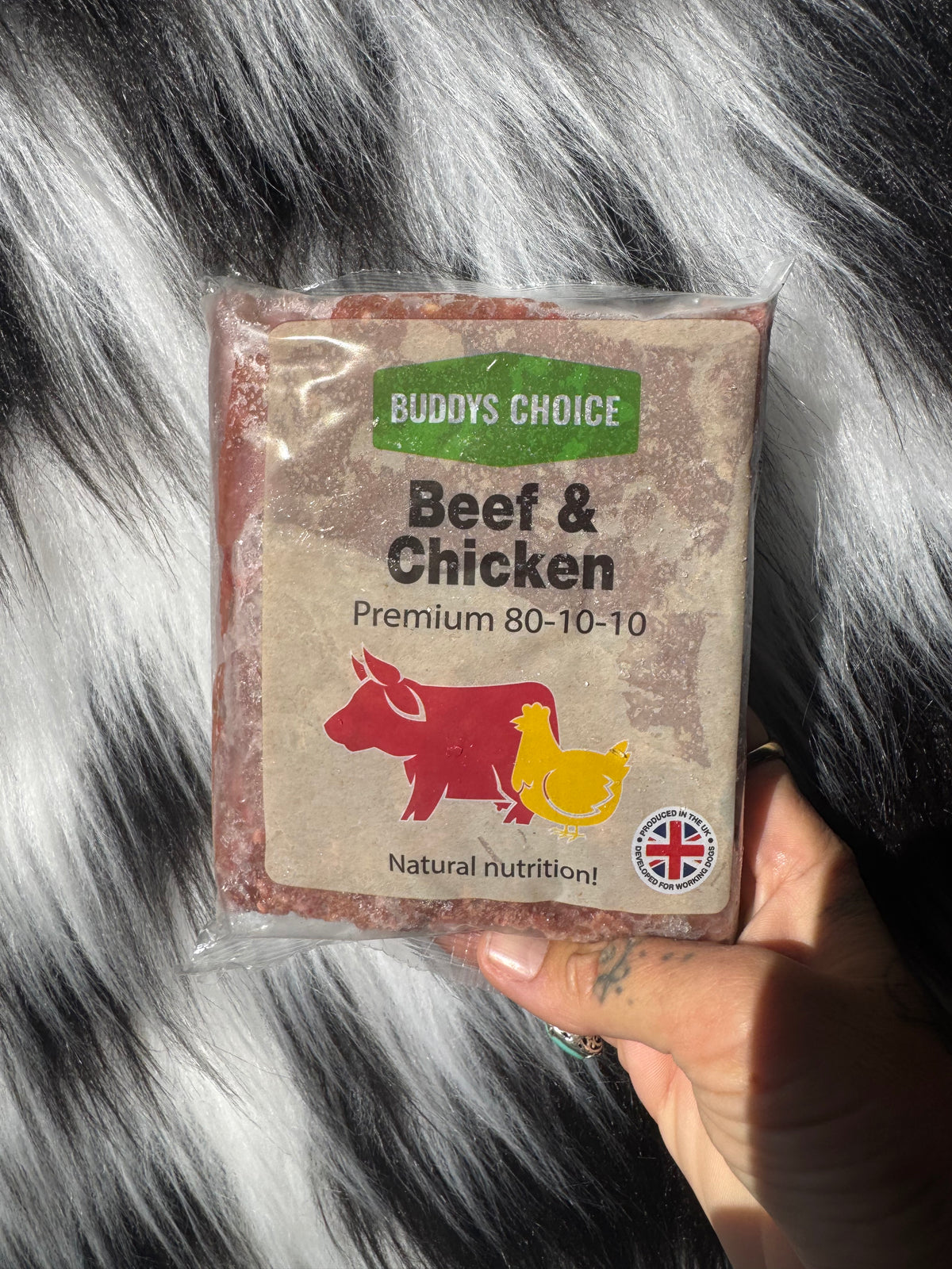Buddy's Choice