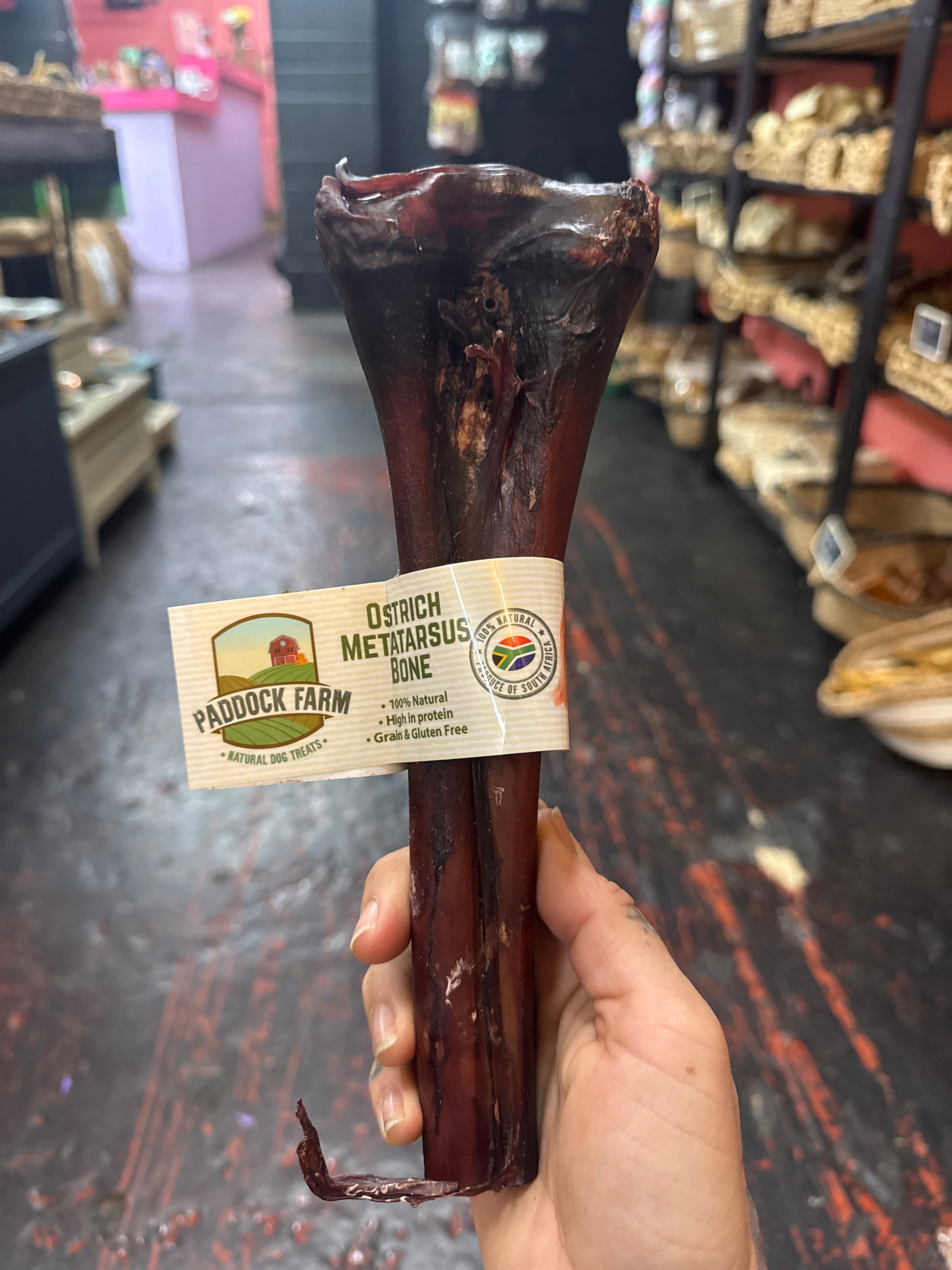 Whole Ostrich Matatarsus Bone