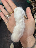 Rabbit Feet