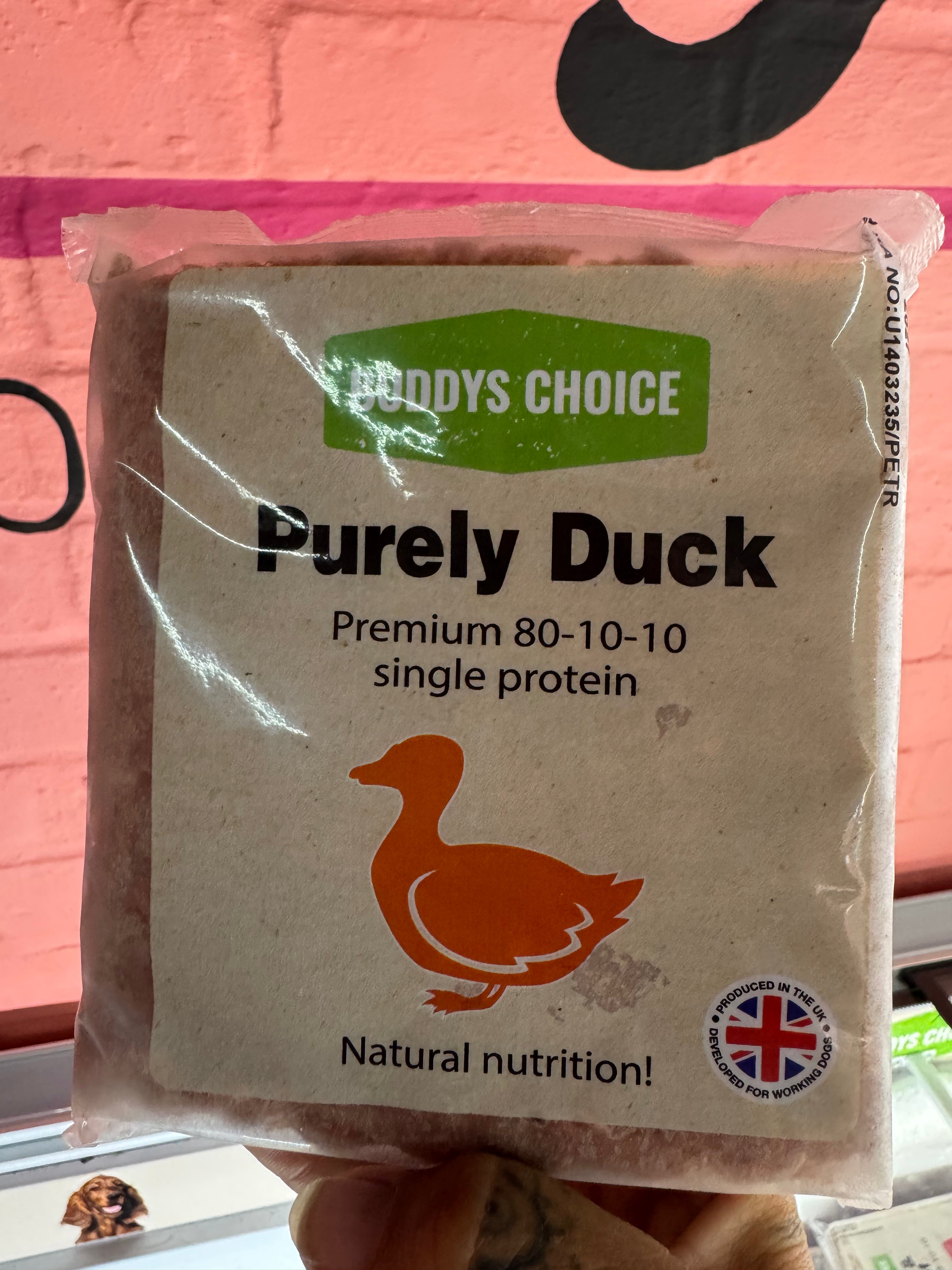 Buddy's Choice