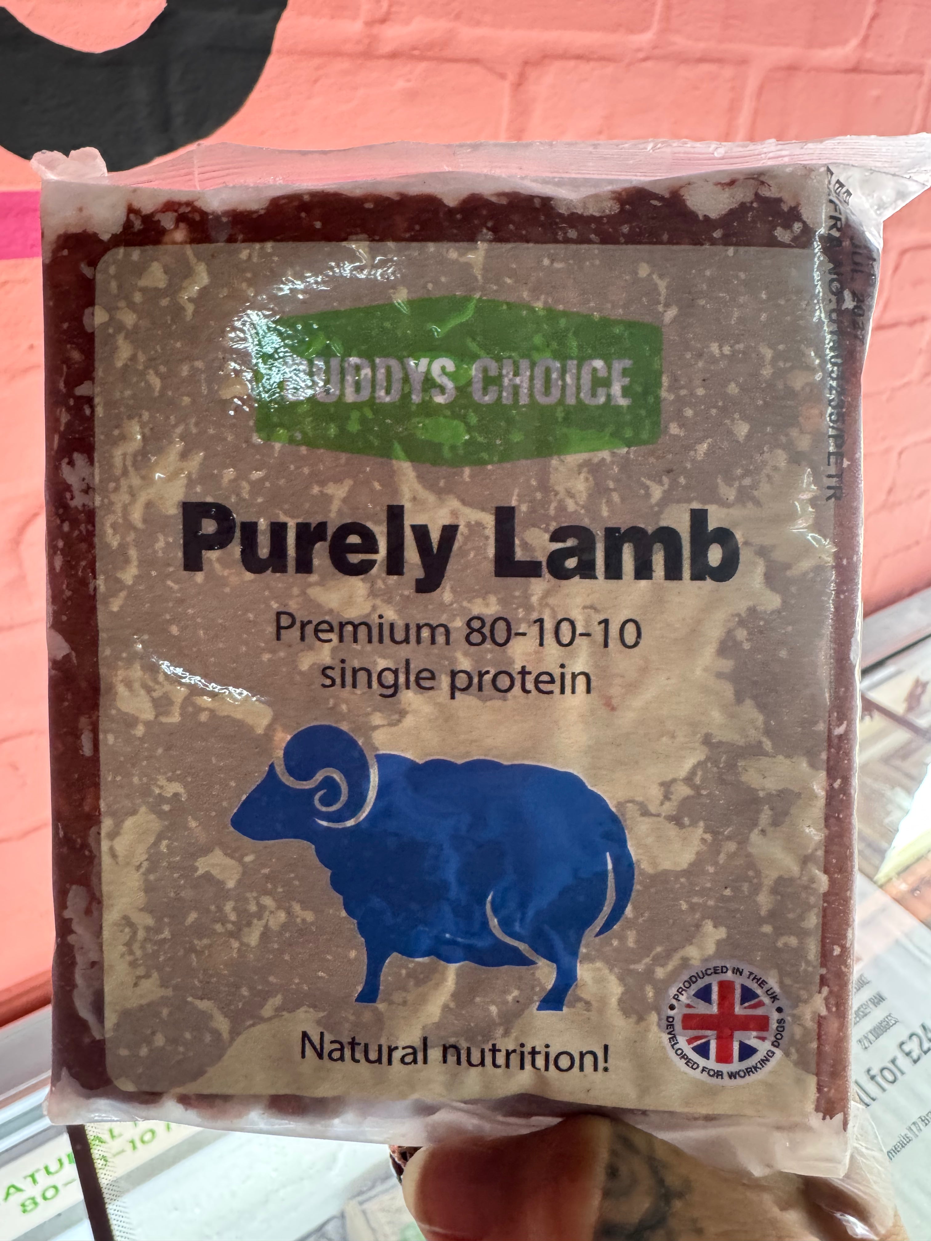 Buddy's Choice