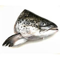 Salmon heads 3pcs