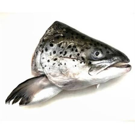 Salmon heads 3pcs