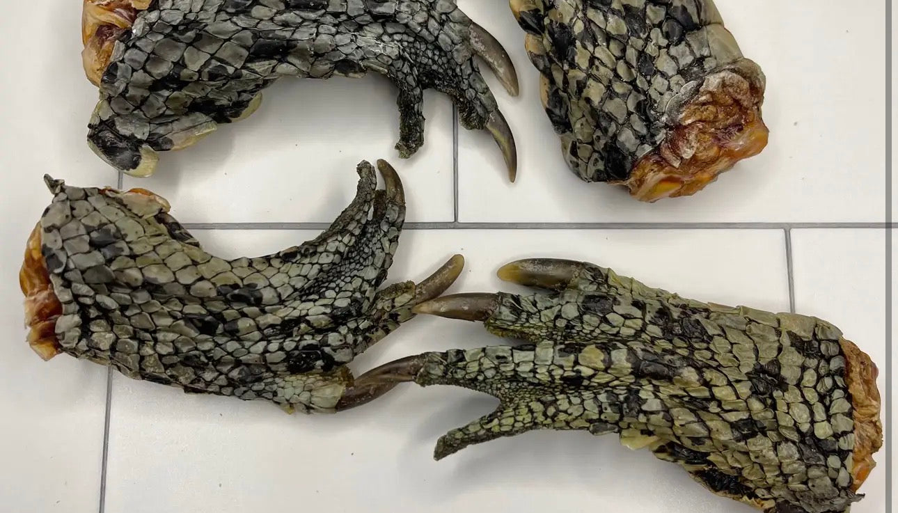 Croc feet