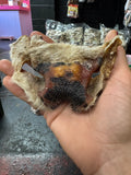 Cow Nose