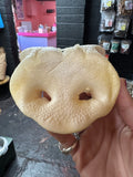Puffed Pig Nose