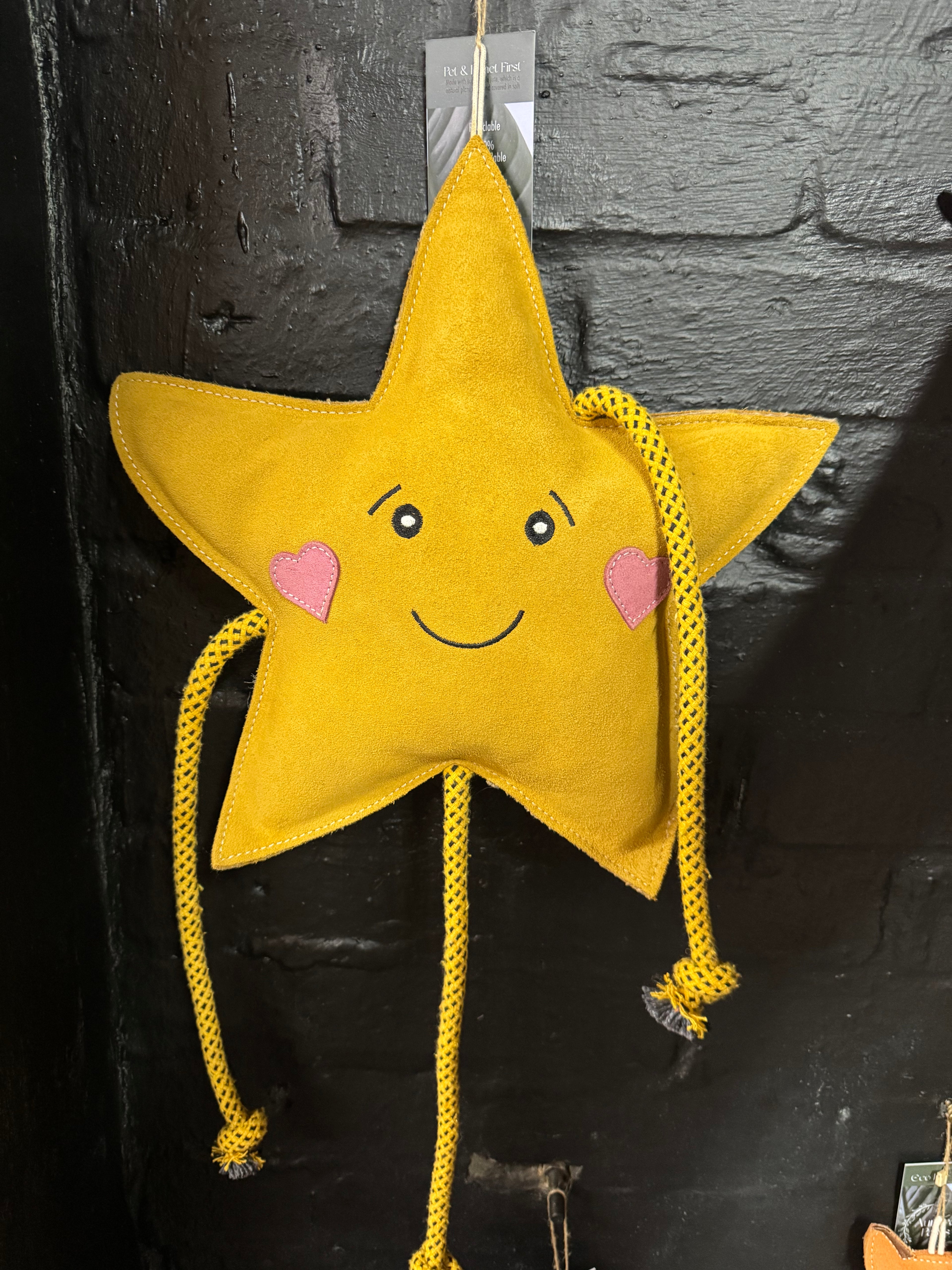 Aurora Star