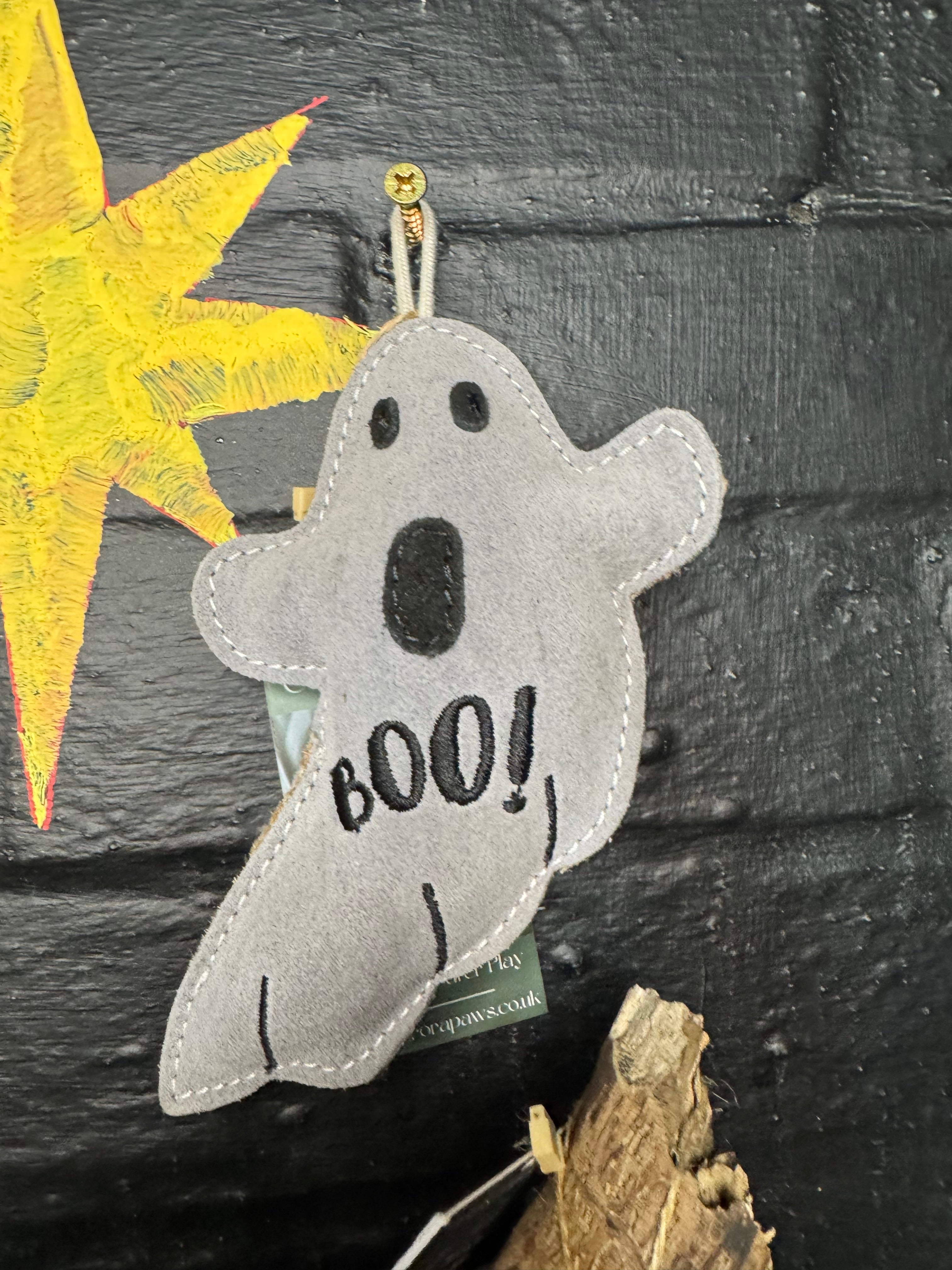 Boo Paul Ghost