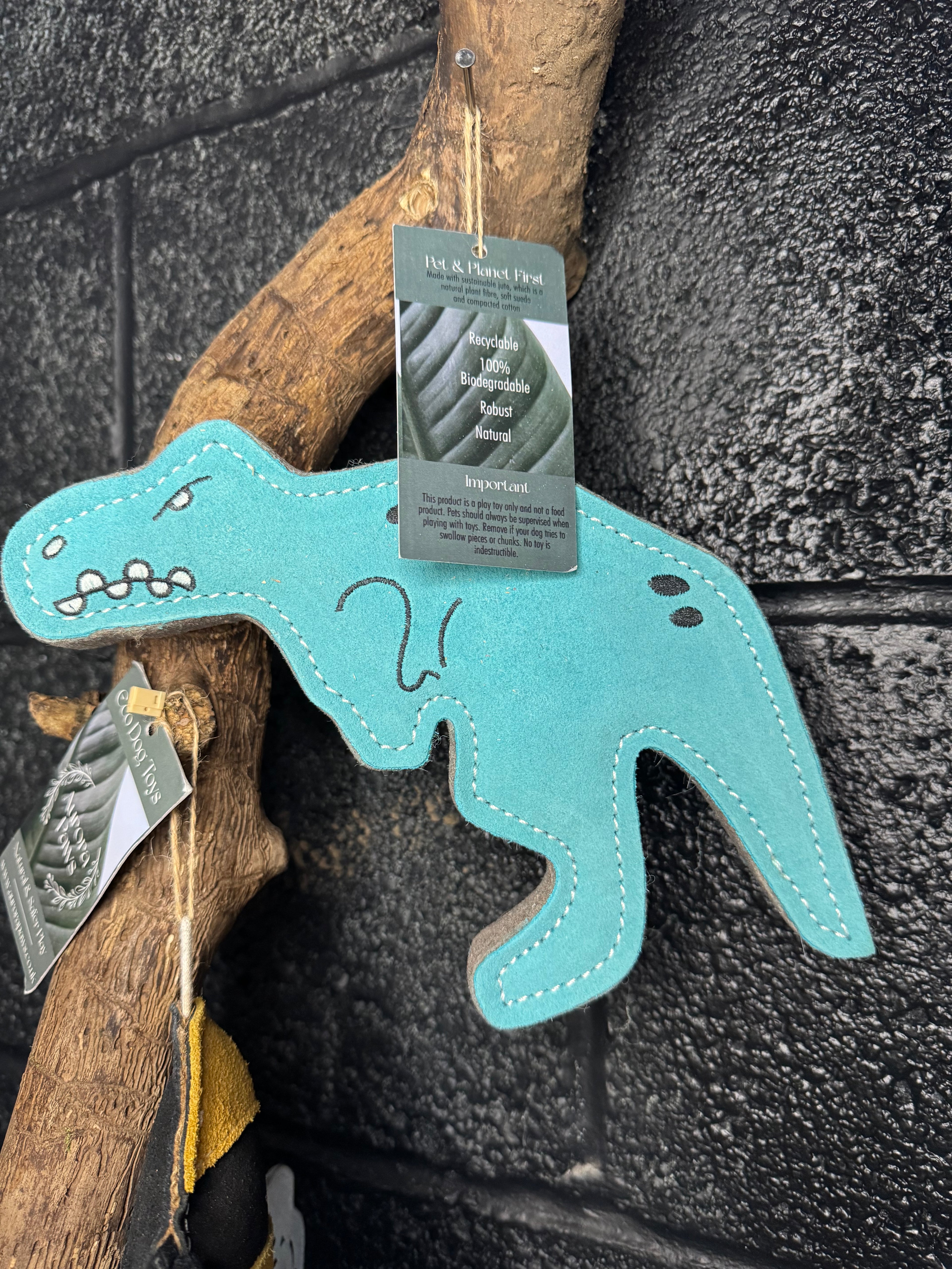 Terry T-Rex