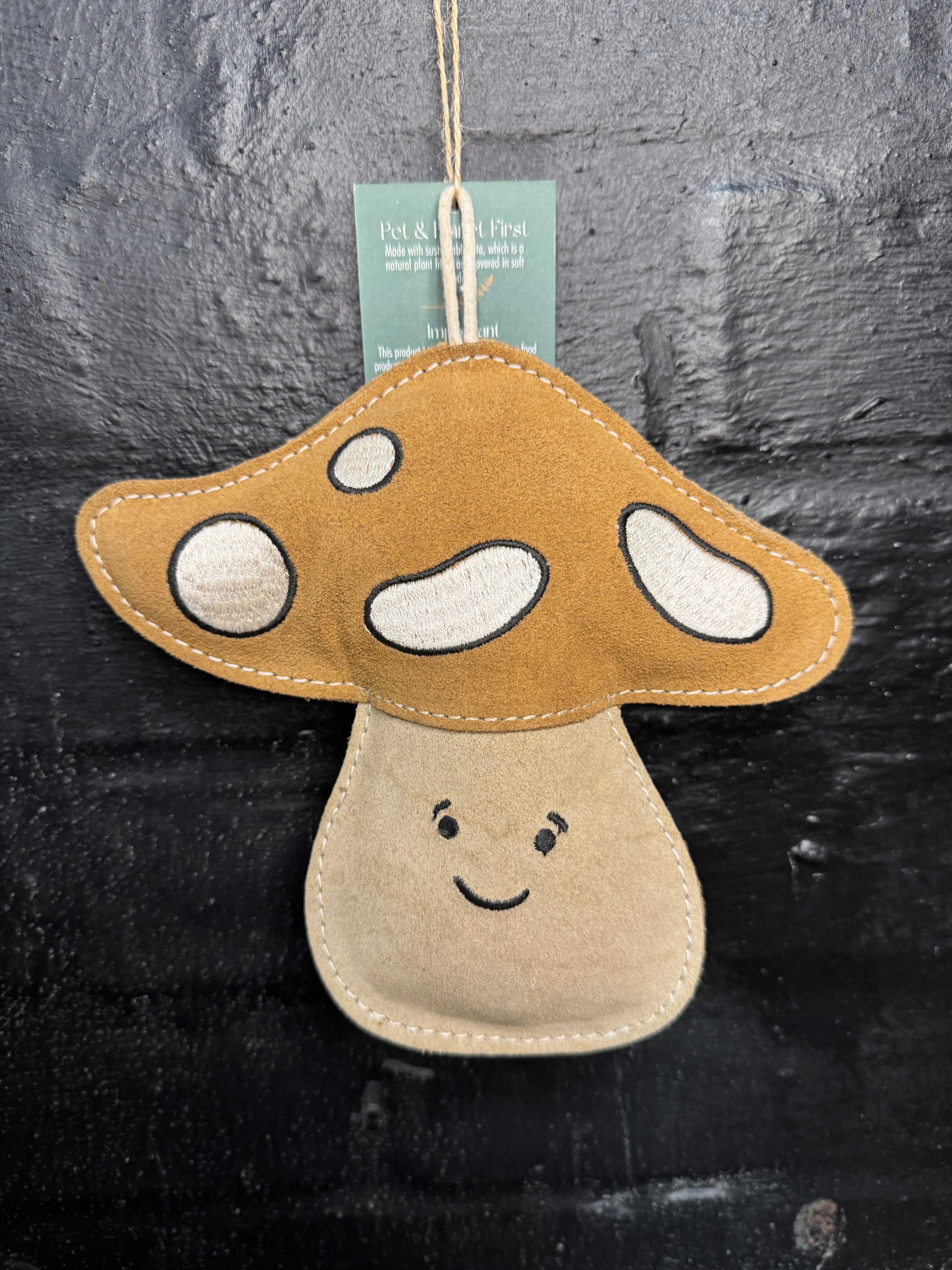 Chestnut the Mushroom