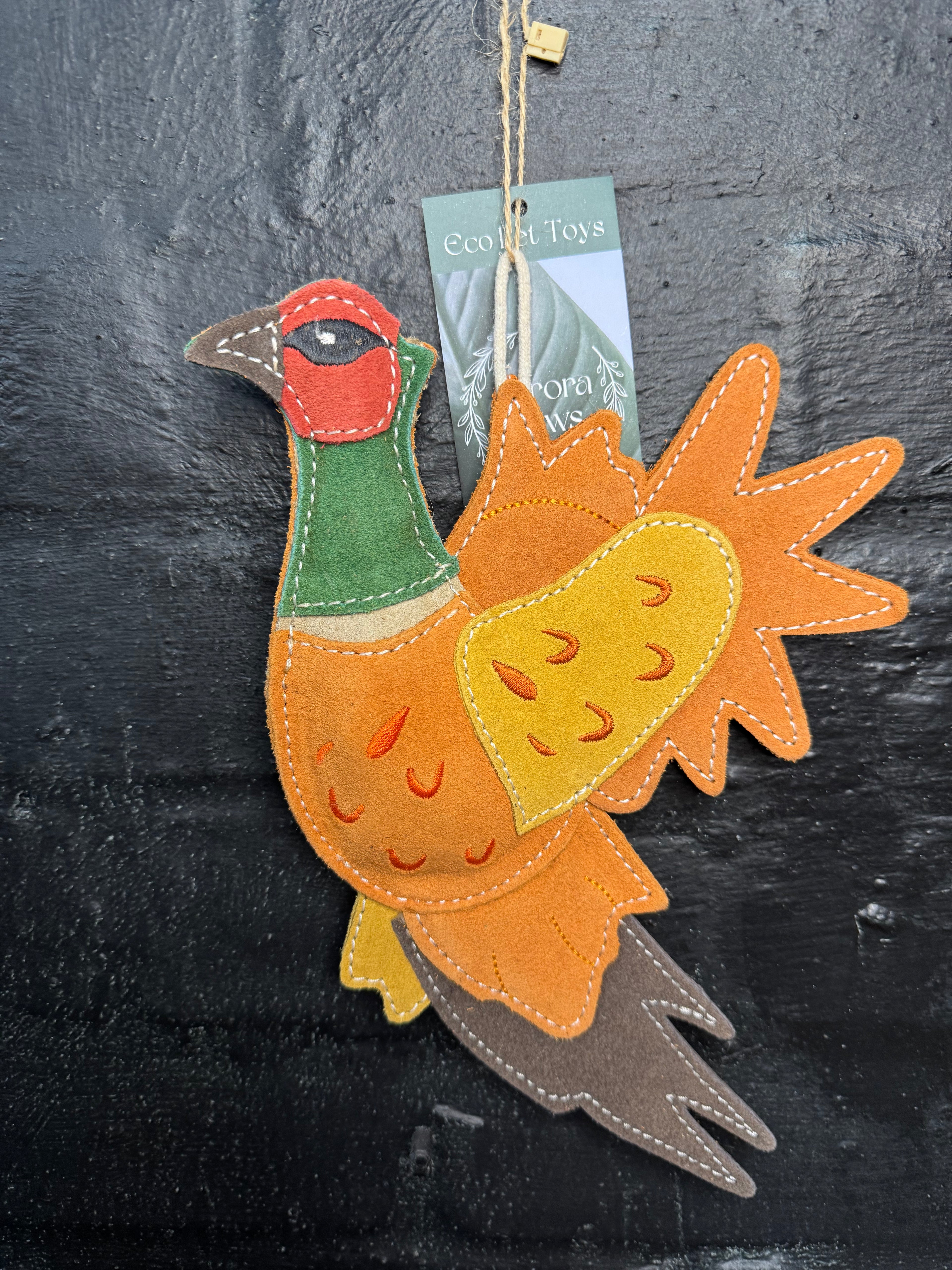 Bracken the Pheasant