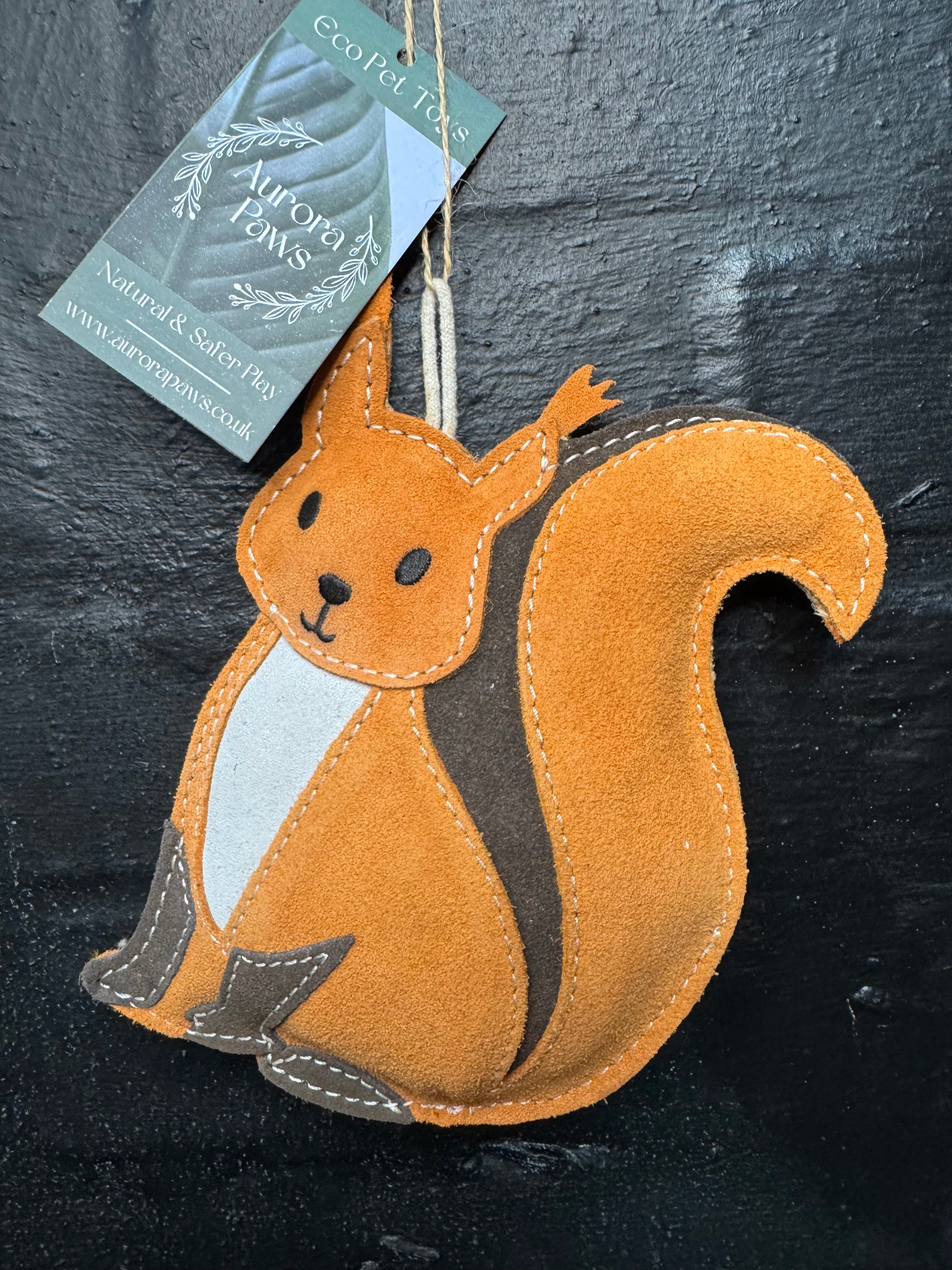 Hazel the Squirrel